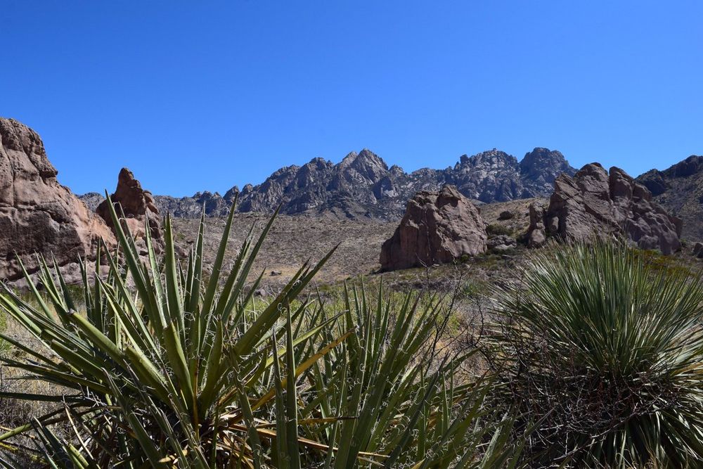 Photo of Organ Mountains-Desert Peaks National Monument