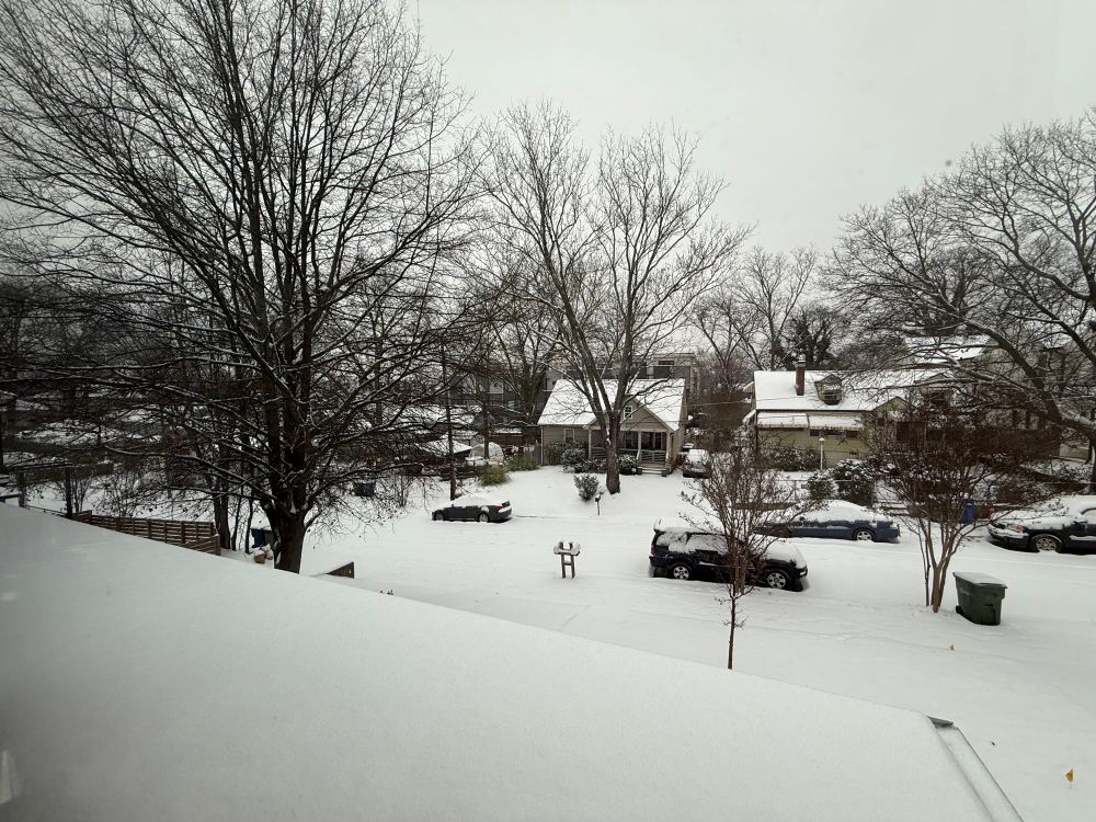 My street, covered in snow