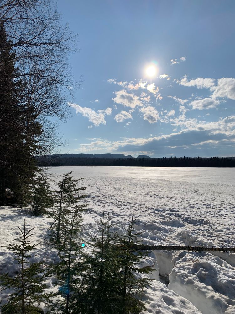 Photo: The tree lined horizon horizontally splits the image in half. The Sleeping Giant (Nanabozhoo; a peninsula) with his “head” in almost the centre of the horizon, “body” and “feet” going towards the left side of the picture.

A snow covered lake (Lake Marie Louise) in the bottom half and a blue sky with some clouds and the sun shining brightly in the sky in the top half of the photo. 

The left side of the photo has some deciduous and evergreen trees framing the image with a few smaller, younger evergreen trees in the bottom foreground, close to the photographer who is not pictured. There’s also some interesting melting patterns and a fallen tree creating visual interest.
