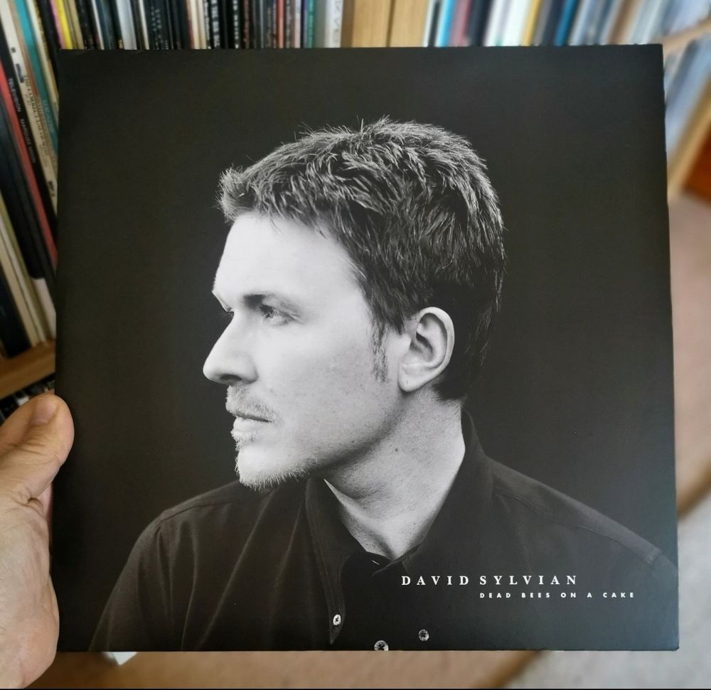 David Sylvian looking to his right 