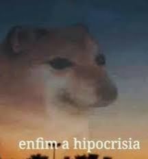 A imagem mostra um rosto de cachorro caramelo, com olhos arregalados e uma expressão que parece ser de satisfação ou malícia. O rosto está sobreposto a um céu crepuscular, com nuvens e um horizonte distante. Na parte inferior da imagem, há um texto em português que diz "enfim a hipocrisia".