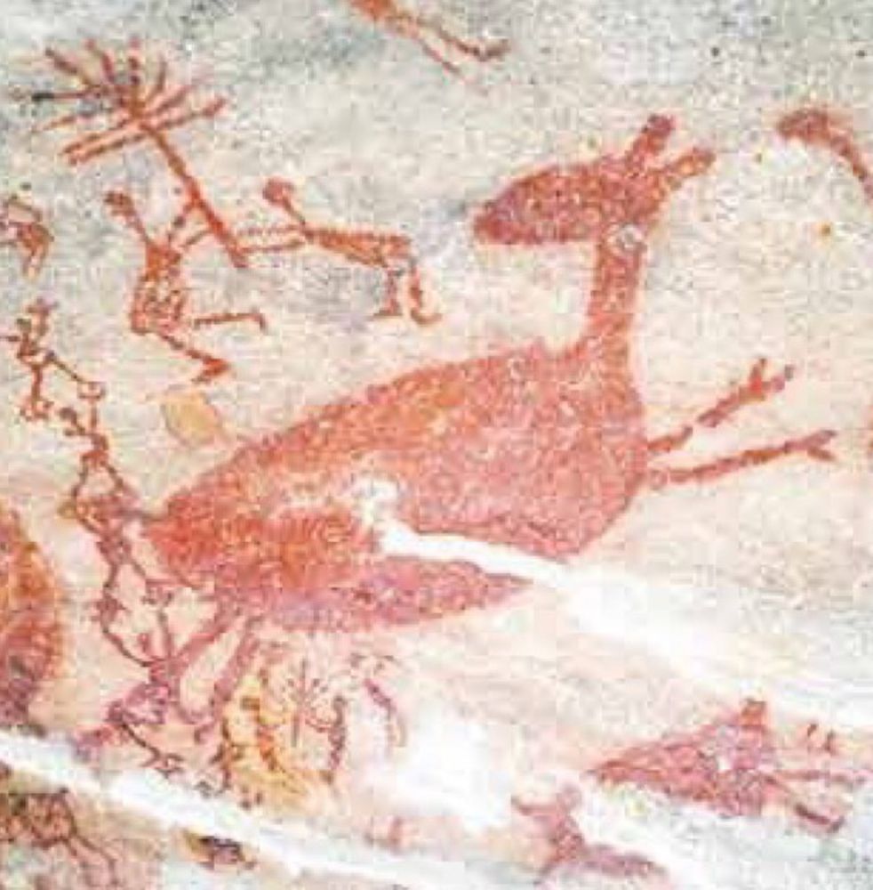 A imagem exibe um detalhe de pinturas rupestres sobre uma superfície rochosa de cor clara, predominantemente esbranquiçada ou bege-claro. O centro da composição é dominado por uma grande figura de animal, que se assemelha a um cervo ou guanaco, pintada em tom avermelhado. Acima e à esquerda desta figura, há representações de figuras humanas também em vermelho, algumas com traços estilizados que sugerem armas ou apetrechos. Uma das figuras humanas parece estar caçando o animal grande. Há também outras figuras menores e traços em vermelho espalhados pela superfície da rocha, indicando uma cena complexa ou várias representações sobrepostas. A textura da rocha é visível através das pinturas.