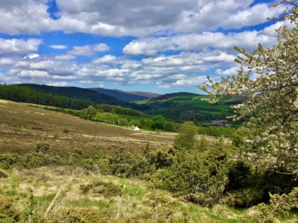 (155) White Bridge-Glen Brown-Glen Avon Circuit (Moray)