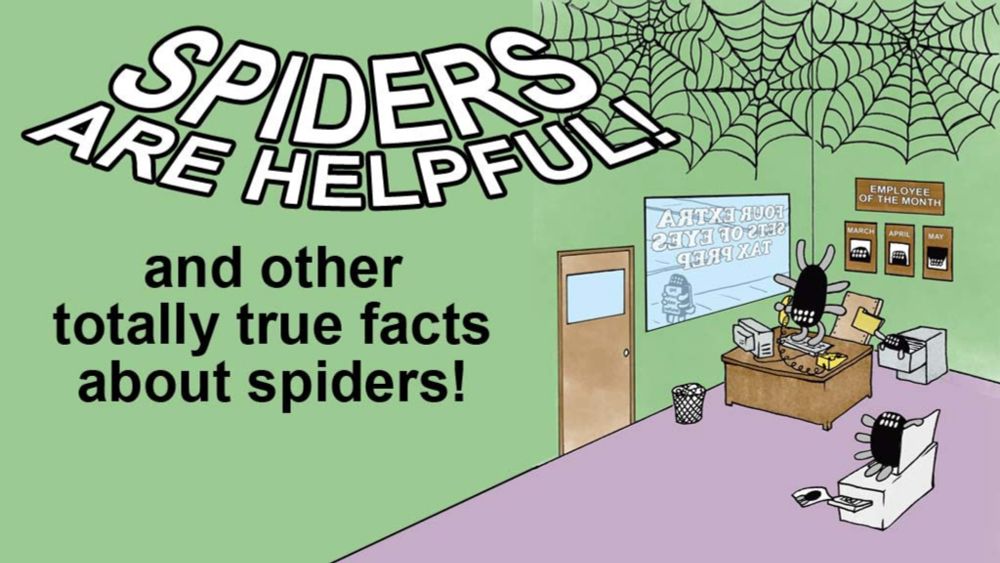 Spiders Are Helpful!