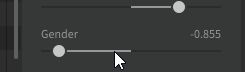 Gender Slider with the value -0.855