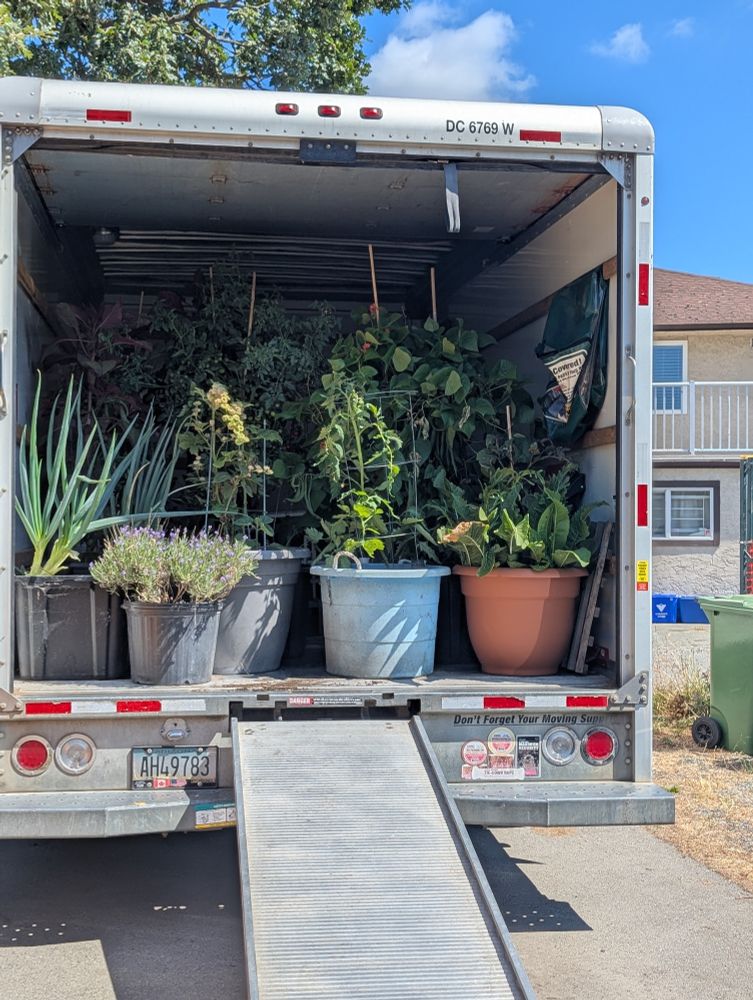 A U-Haul moving truck from the back with the door up. It's packed full with plants in containers.  The ramp is down