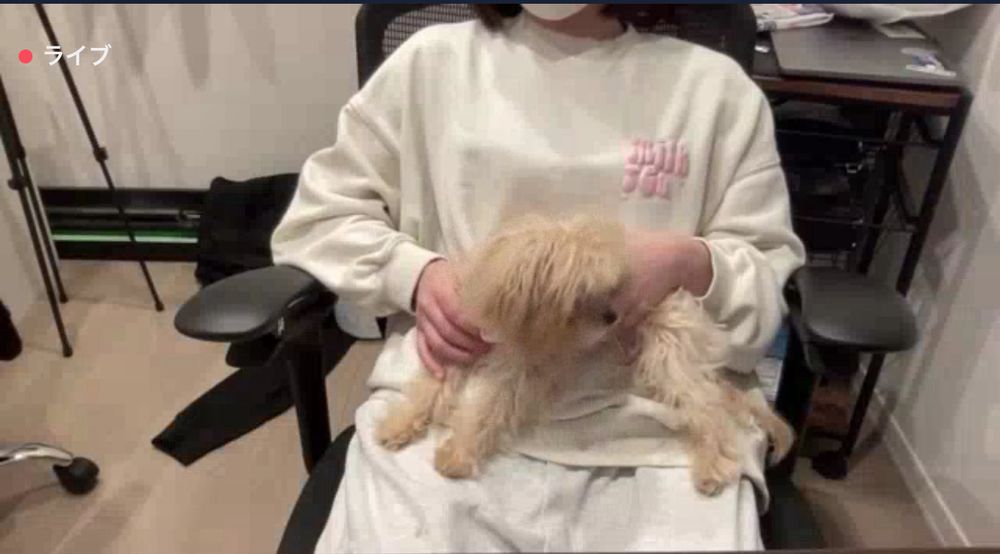 おとなしいいい子だね✨