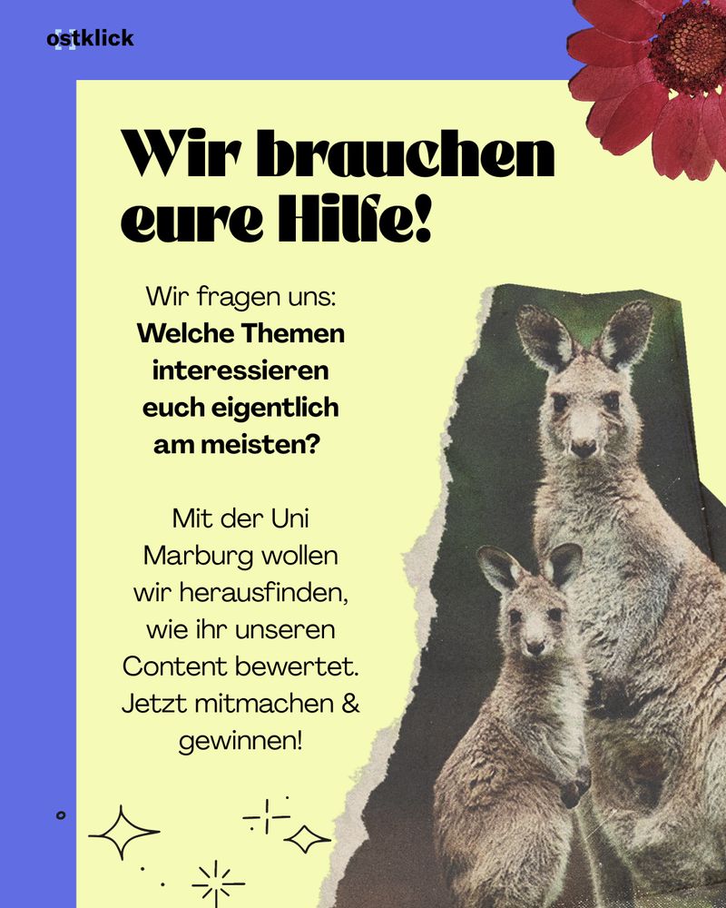 Auf dem Bild ist in schwarzer Schrift auf hellgelbem Grund folgender Text zu lesen: "Wir brauchen eure Hilfe! Wir fragen uns: Welche Themen interessieren euch eigentlich am meisten? Mit der Uni Marburg wollen wir herausfinden, wie ihr unseren Content bewertet. Jetzt mitmachen und gewinnen!" Daneben findet sich in der rechten Bildhälfte ein Fotos von zwei Kängurus, ein größeres ganz rechts, links daneben ein kleineres. Sie blicken beide die betrachtende Person an.