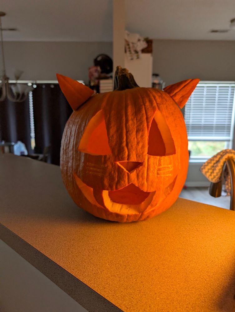 a jack-o-lantern carved to look like a cat