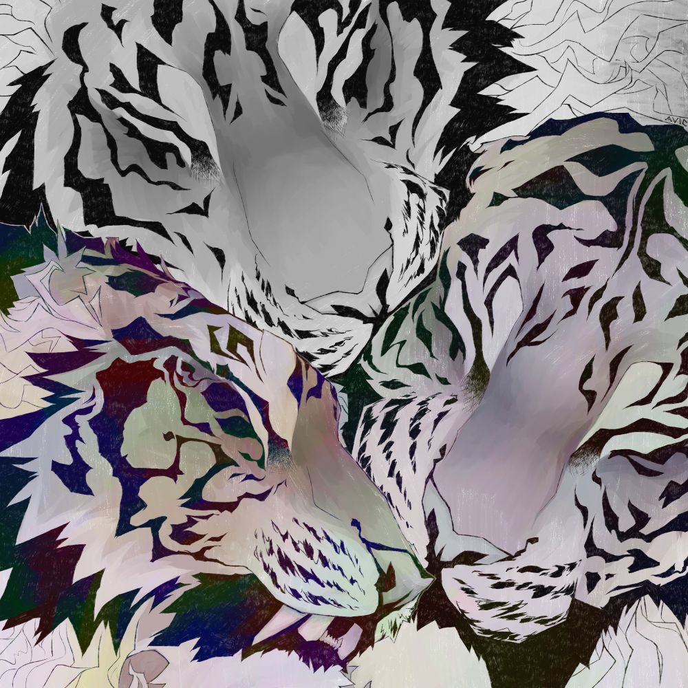 A drawing of 3 riders with their faces pressed together. The topmost tiger is grayscale, the rightmost tiger is slightly coloured and the bottom tiger is the most saturated.