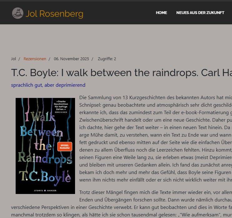 Ein Screenshot der Rezension mit dem Cover des Buches. Meine Webseite ist in Grautönen gehalten. Das Cover ist schwarz und zeigt den Titel mit nach oben verlaufender bunter Farbe.