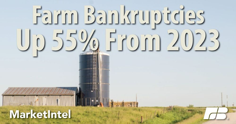 Increasing Chapter 12 bankruptcy filings provide a glimpse into the long-term conditions in farm country.