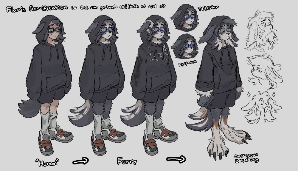 Different steps in Flor's furry form. "Flor's fur-ification" "She can go back and forth at will". A couple of alternative fur patterns: "Tricolor" and "Eyepatch". A few facial expressions on the far right. Bottom text reads "Human"->Furry-> Overgrown Beast Dog