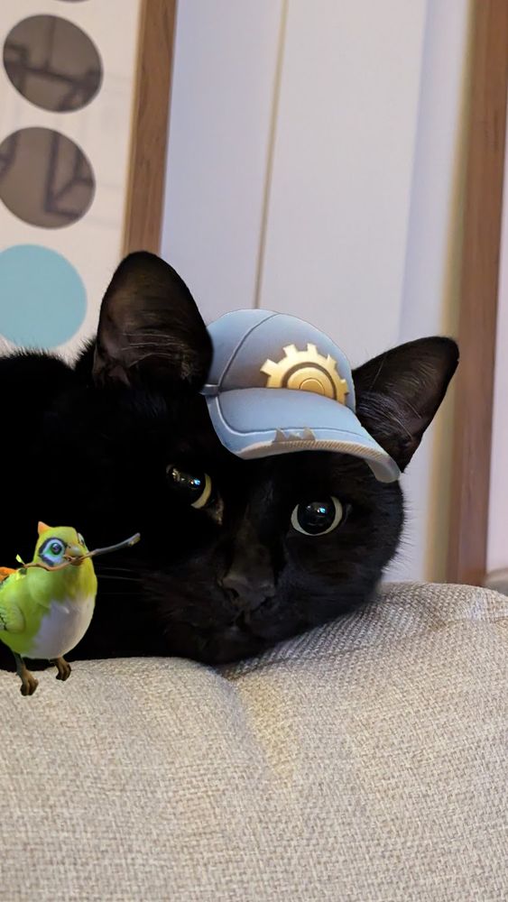 my cat Blu, photoshopped to look like Bastion from Overwatch