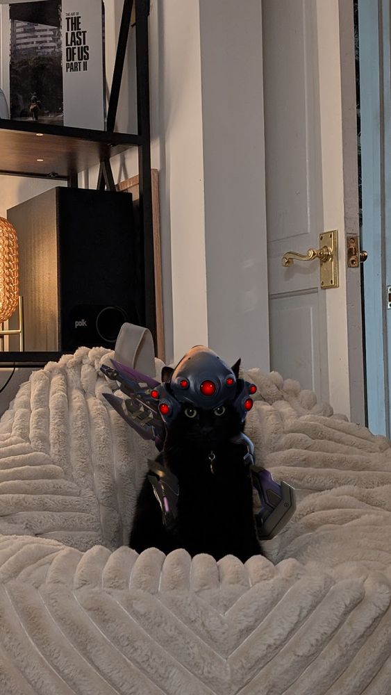my cat Blu, photoshopped to look like Widowmaker from Overwatch