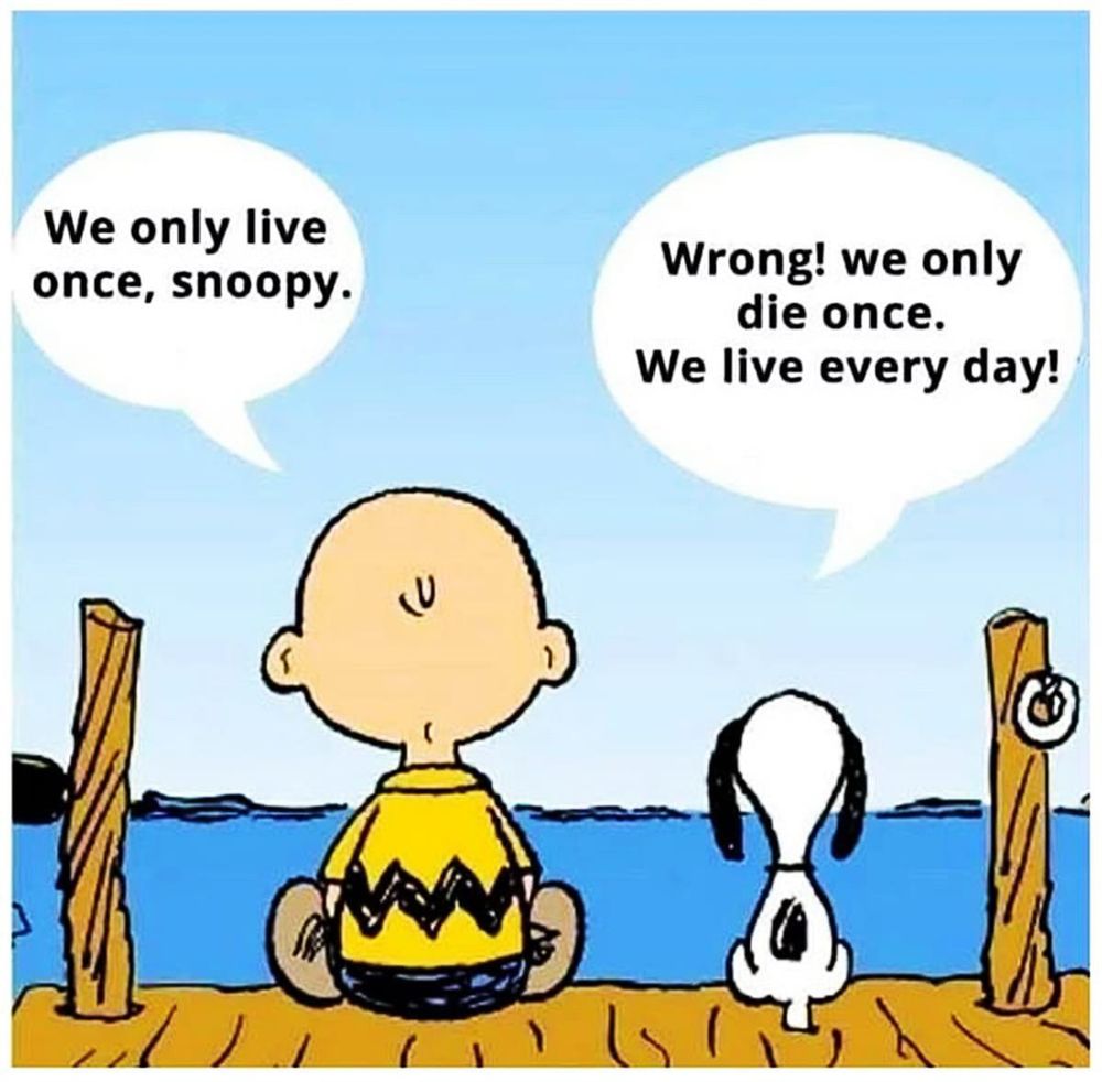 Charlie Brown and Snoopy are seated on a wharf facing a peaceful blue lake. Charlie Brown says ‘We only live once’ and Snoopy replies ‘we only die once. We live every day.’