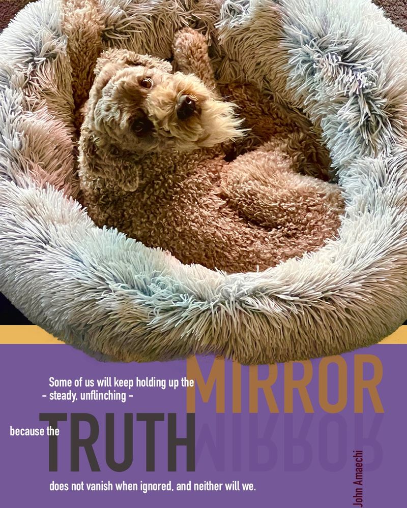 Brown labradoodle with quote: ““Some of us will keep holding up the mirror - steady, unflinching - because the truth does not vanish when ignored, and neither will we.”

John Amaechi 
on the 5-year anniversary of the death of George Floyd
