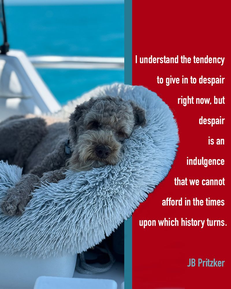 brown labradoodle with quote: 
“I understand the tendency to give in to despair right now, but despair is an indulgence that we cannot afford in the times upon which history turns.”

JB Pritzker
