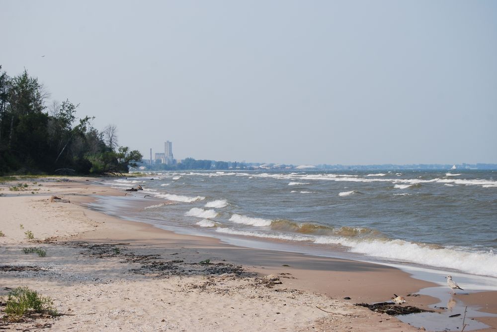 A sandy beach at Lake Michigan. In the near background are trees extending toward the water. The town of Manitowoc can be seen in the far background.