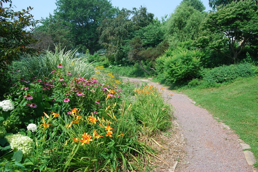 A path leads through a wildflower garden