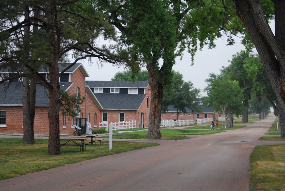 A lane flanked by trees passes by several stables.