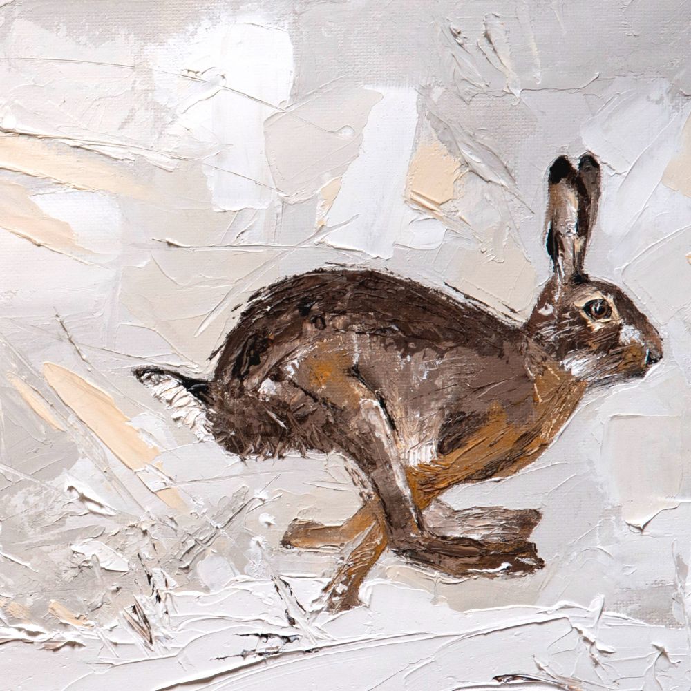 Winter Hare