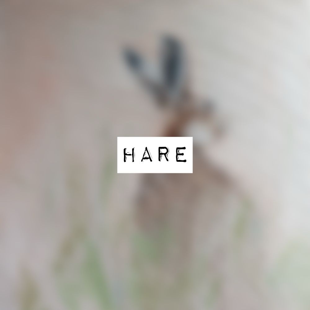 Hare