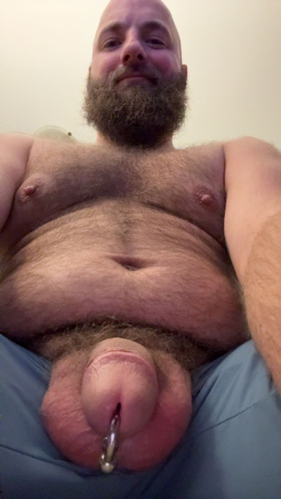 Pierced cock burry belly and beard