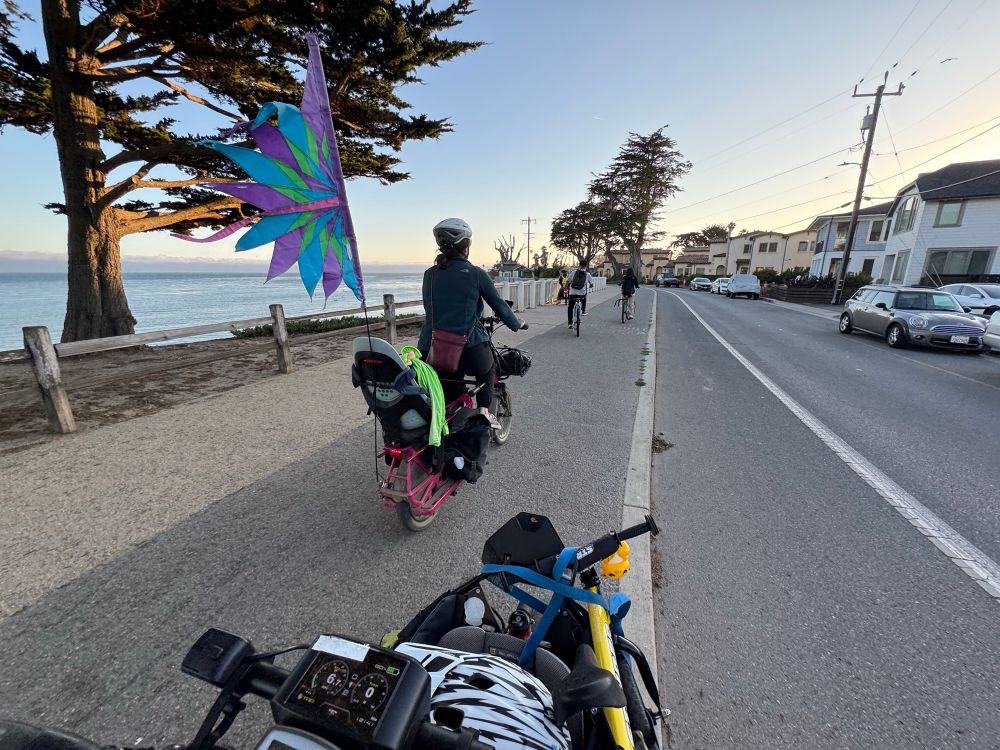 A person riding a purple ebike with a colourful flag on a bike path next to Monterey Bay