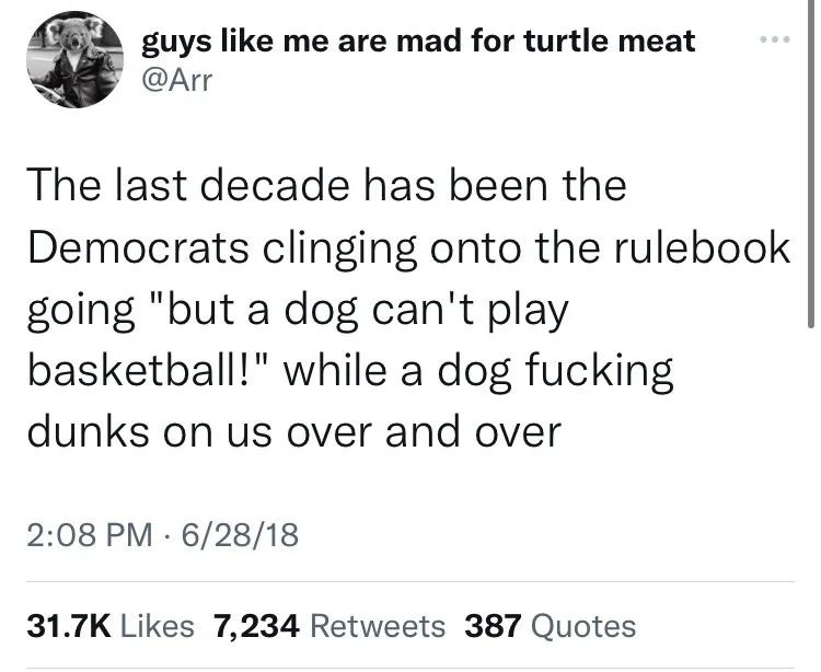 dogs playing basketball tweet
