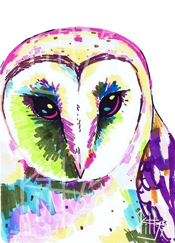 a marker drawing of a barn owl