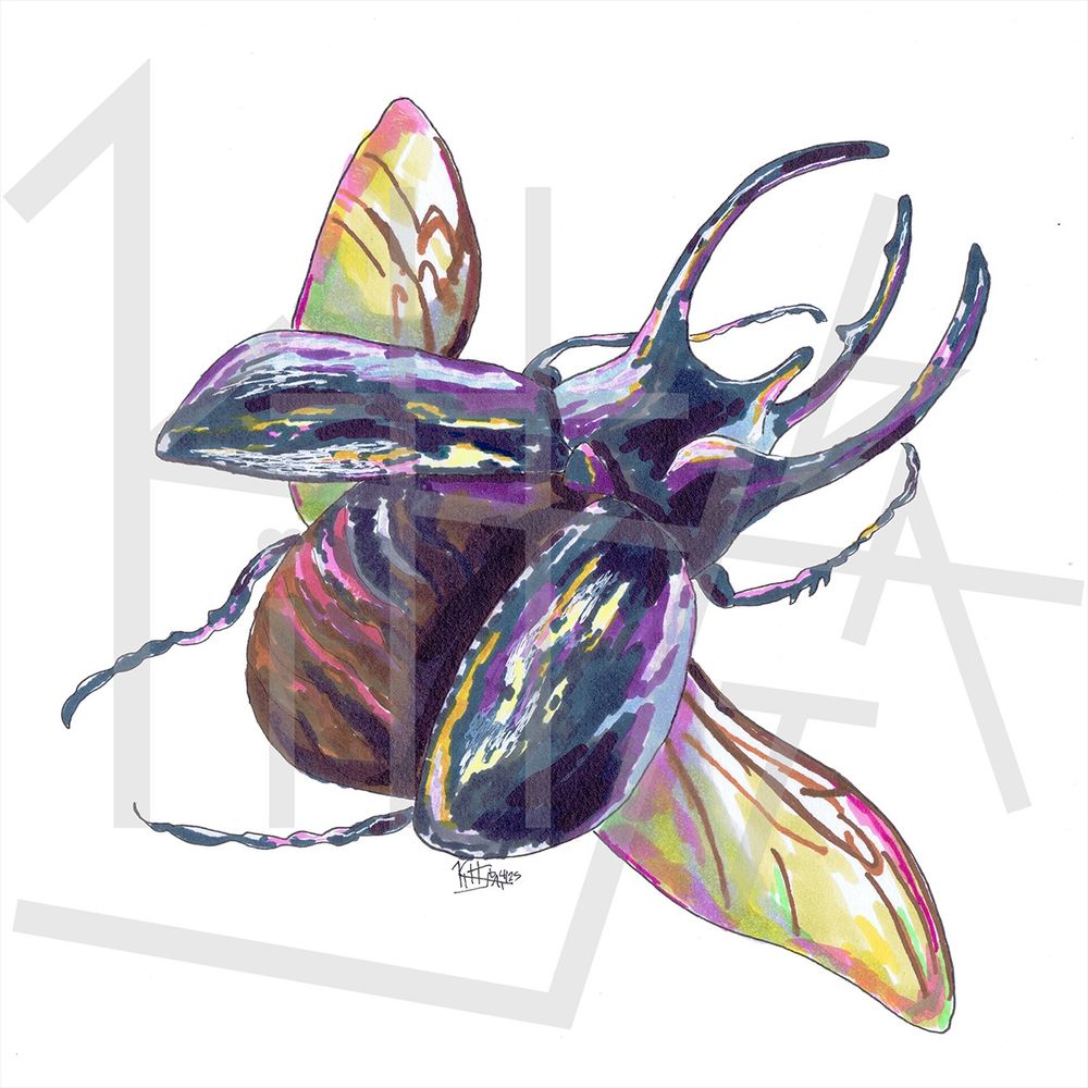 marker drawing of a stag beetle
