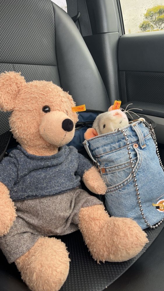 ぬいぐるみのフィンとチャゲ
シュタイフ生まれ steiff