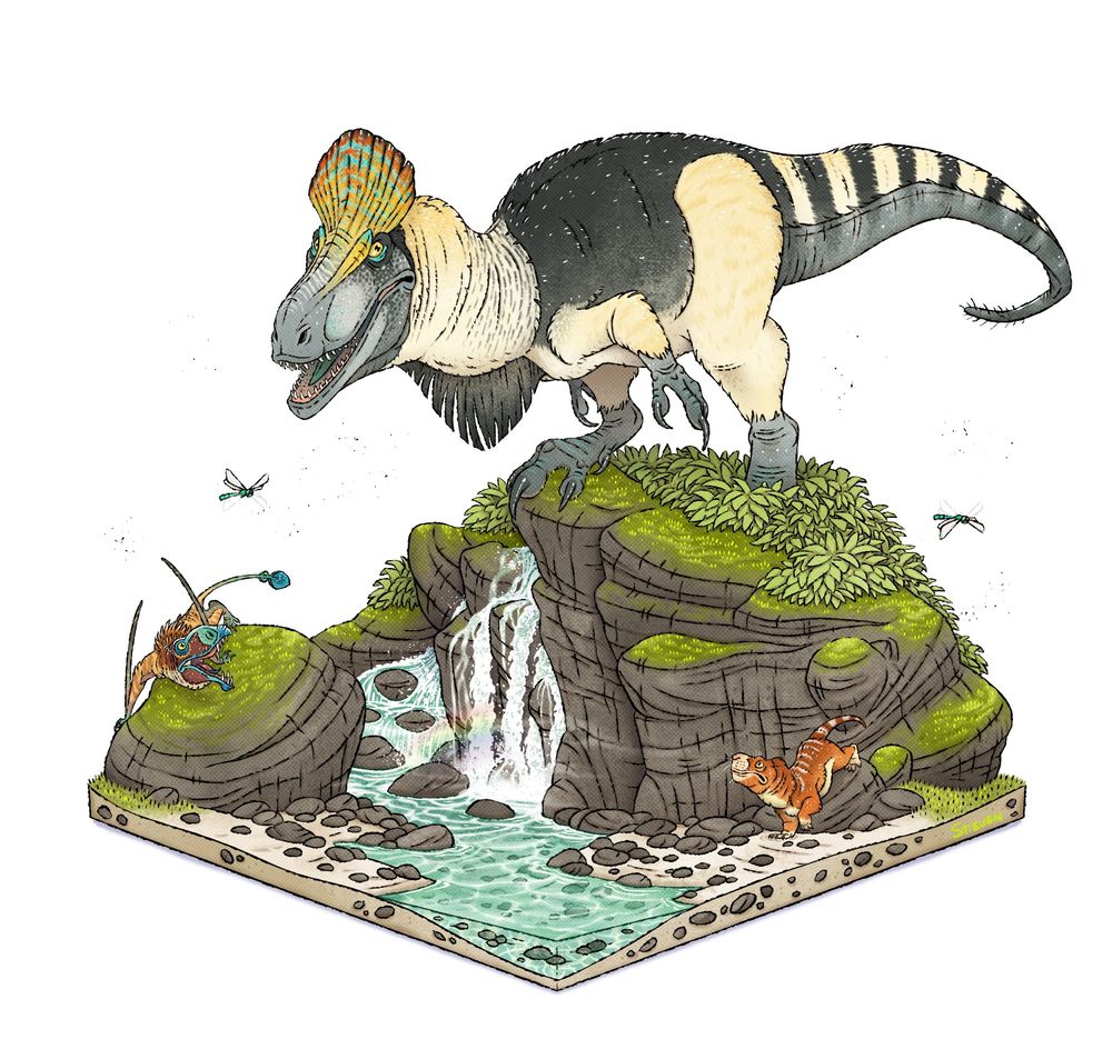 a diorama featuring animals of the hanson formation