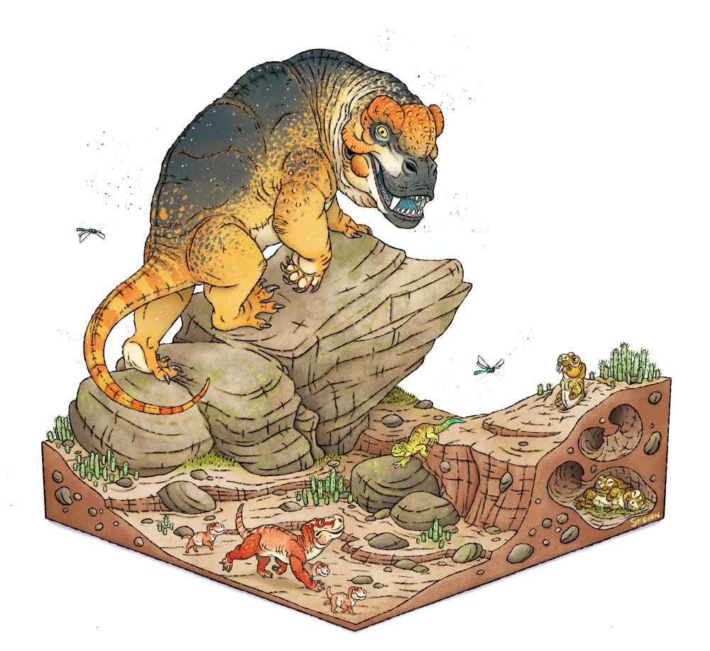 A diorama featuring animals of the Abrahamskraal formation