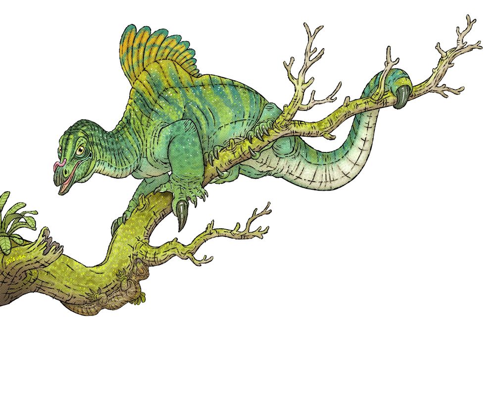drepanosaur with featherlike structures on its back.