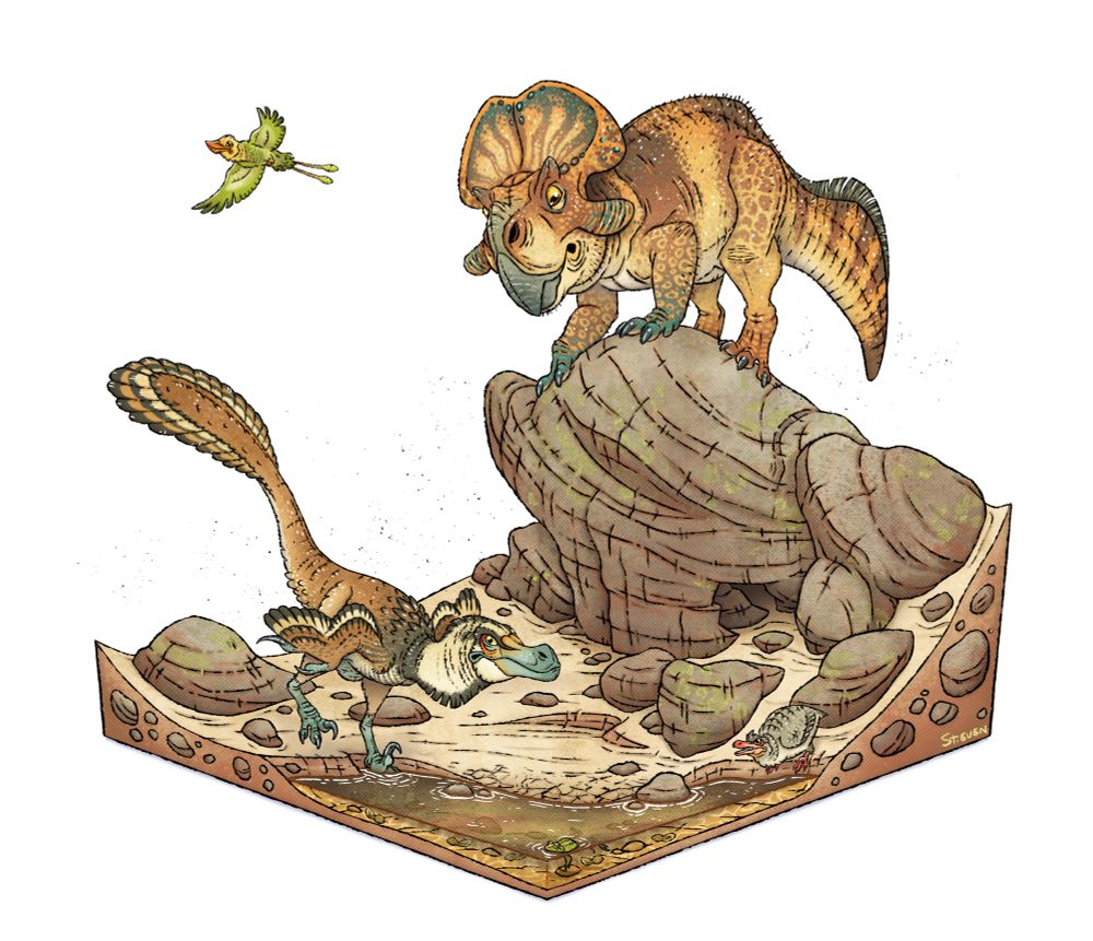 Desert watering hole: Protoceratops keeps a watch on a Velociraptor that just wants a drink.