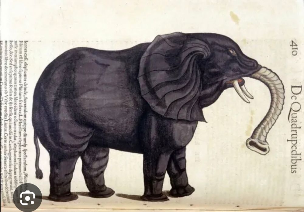 Elephant from the Historia Animalium by Conrad Gesner, Tiguri 1560. Biblioteca nazionale Braidense. Milan by Unknown Artist, (16th century); Biblioteca Nazionale Braidense, Milan, Lombardy, Italy. Depiction of relatively inaccurate African elephant.