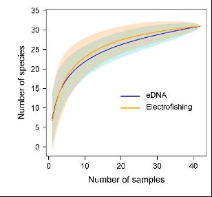 Graph with two overlapping curves with number of species detected using eDNA metabarcoding and electrofishing