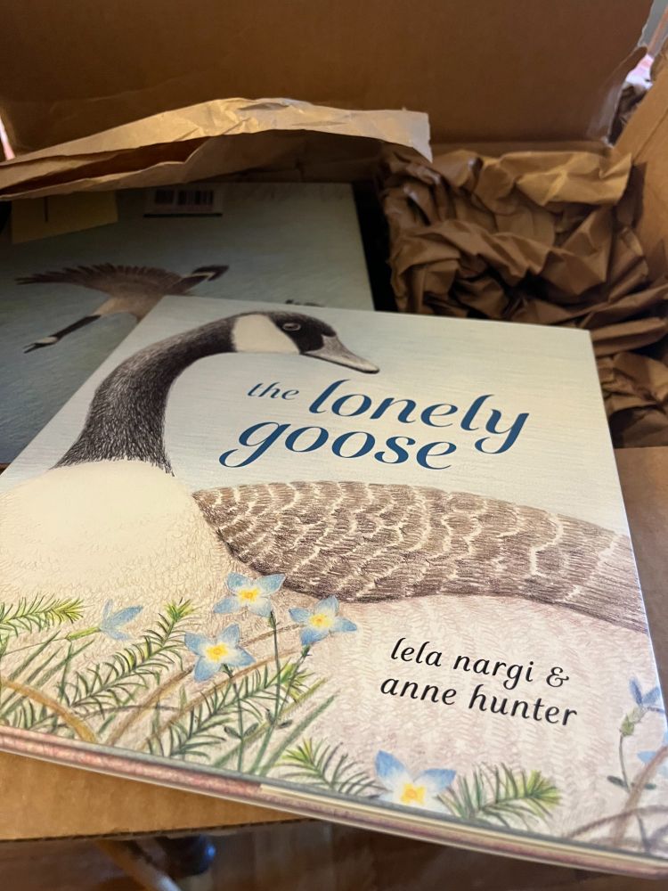 "Unboxing" photo of a children's picture book called The Lonely Goose