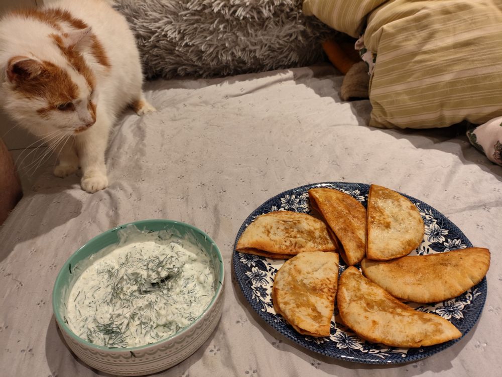 an orange and white cat stares dismissively at a plate of 6 beautiful arayes and a bowl of tzatziki sauce