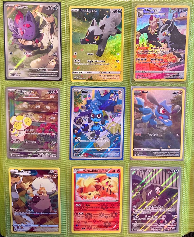 Dog pokemon cards in a binder except for Zorua but Zorua gives me dog vibes