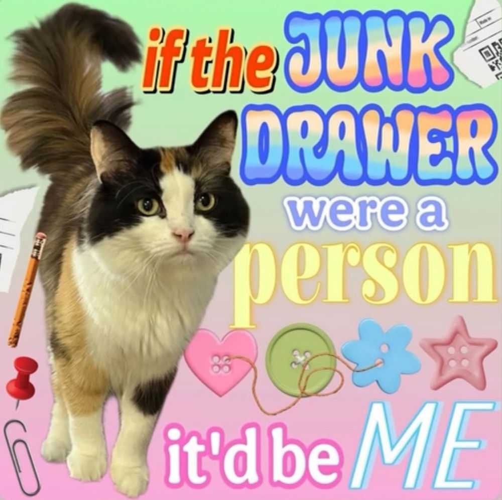 Via calicocatchai on Instagram — a calico cat with glittery and pink effects with text that says “if the junk drawer were a person it’d be me”