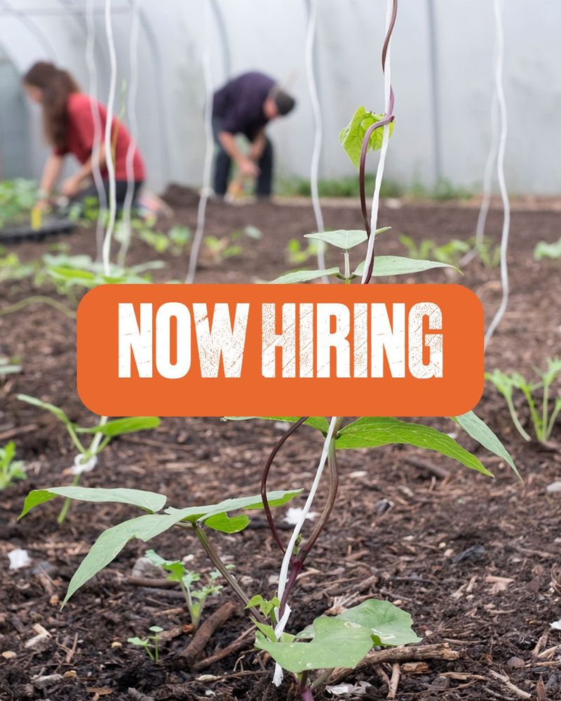 Two people digging in background with the words Now Hiring in foreground