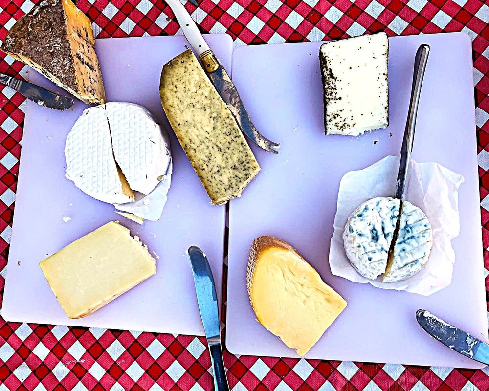 selection of seven cheeses, including soft, blue, yellow and herby, on white board