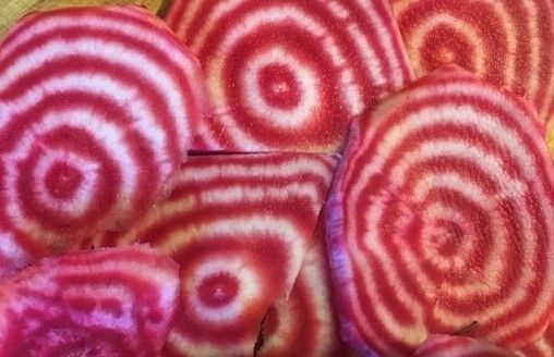 slices of pink and white striped beetroot of the chioggia variety, also known as candy