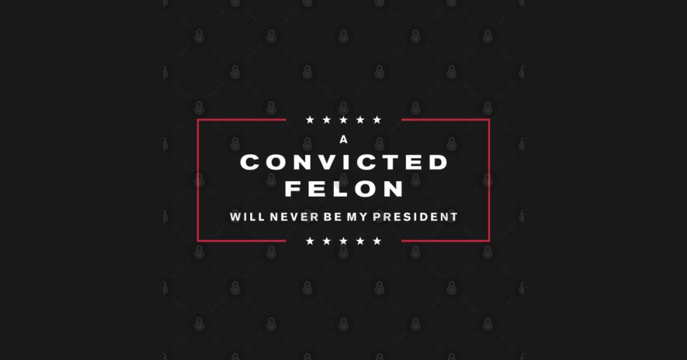 A Convicted Felon will NEVER be my President! by Liberal Tees