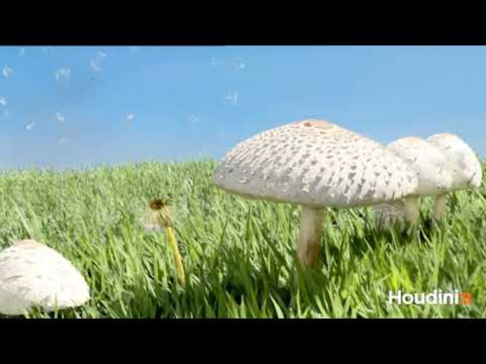 GSOPs for Houdini Showcase