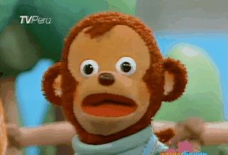 shocked monkey