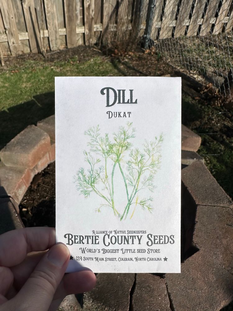 My hand holding a packet of Dukat variety dill seeds from Bertie County Seeds in front of a homemade fire pit. 